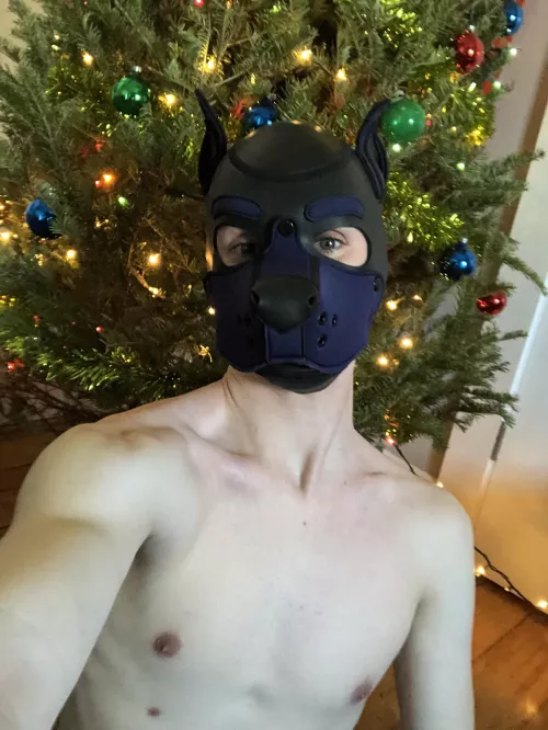 Who wants to find a new pup under their tree this morning?