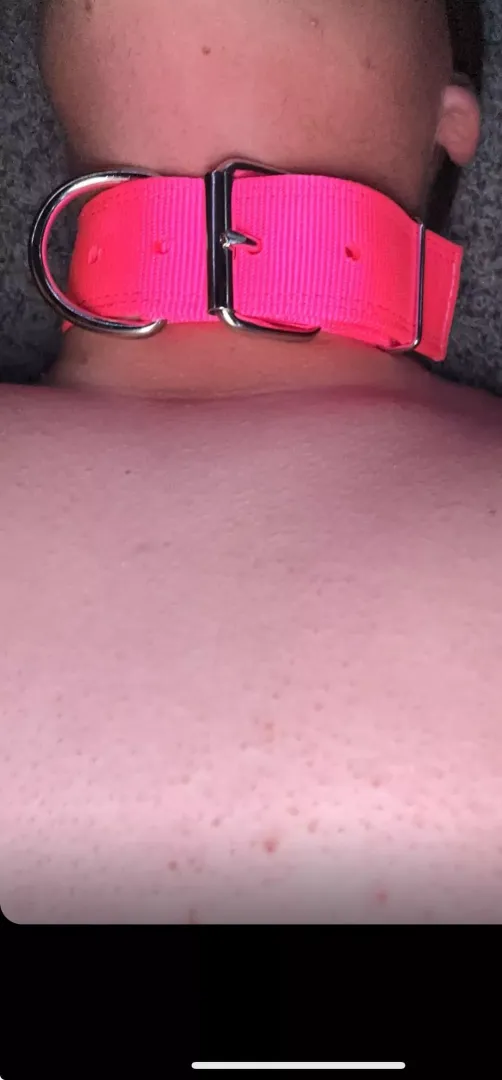 Who wants to fuck my ass and throat ? 