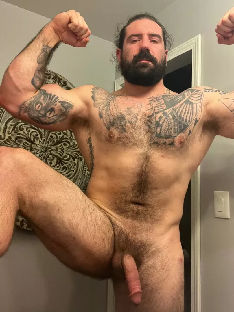 Who wants to get pregnant from a bearded man?