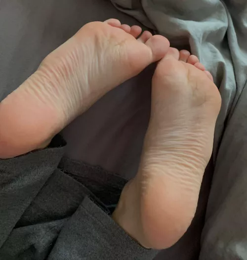 Who wants to lay down on the floor so I can use your face as my carpet?😋