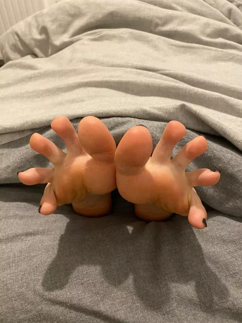 Who wants to lick my toes?