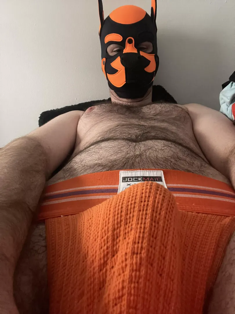 Who wants to nuzzle up to my chest while they take care of my bone?
