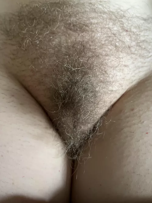 Who wants to put a big load on my hairy triangle