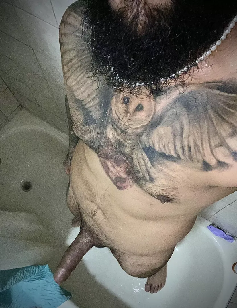 Who wants to scrub me?