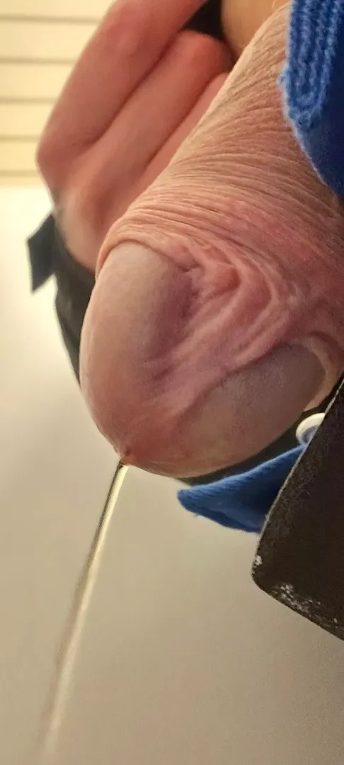 Who wants to see how I piss in my mouth
