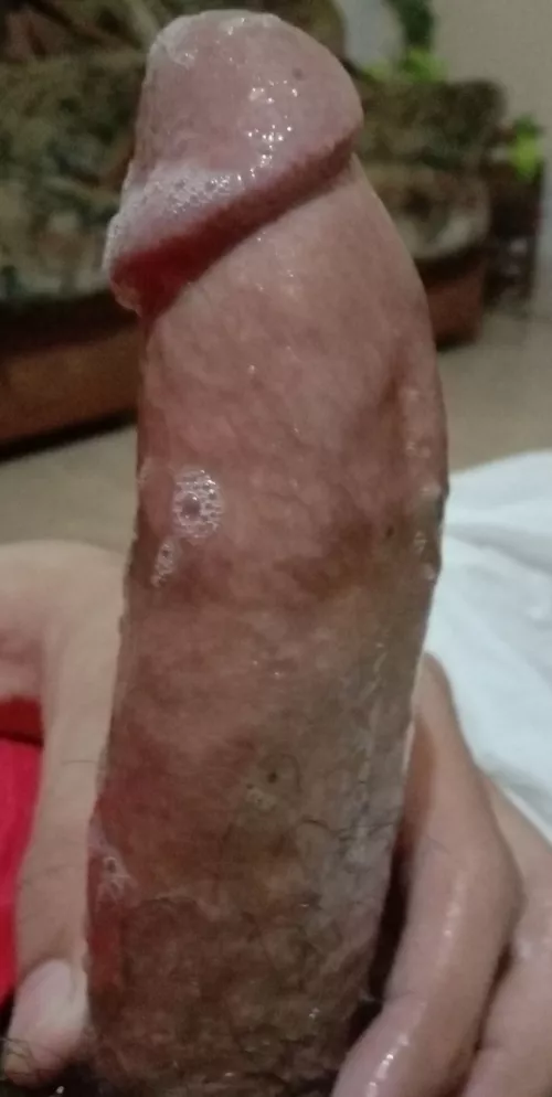 Who Wants To Sit On It?