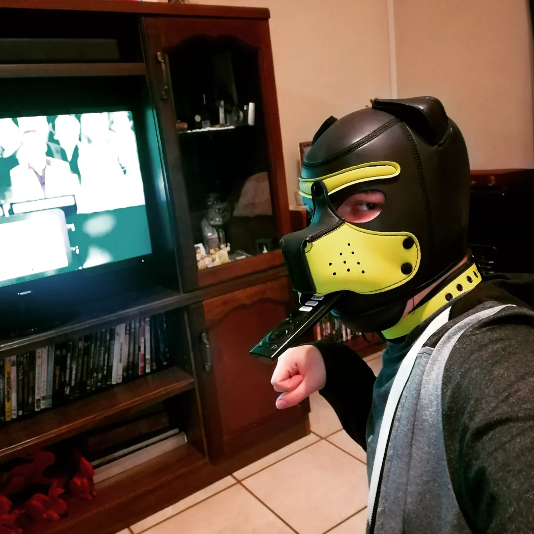 Who wants to watch some TV with me? 💛