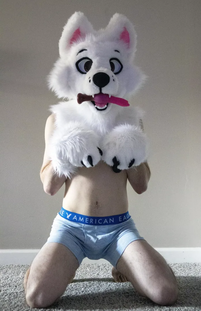 Who’s a good boy?!