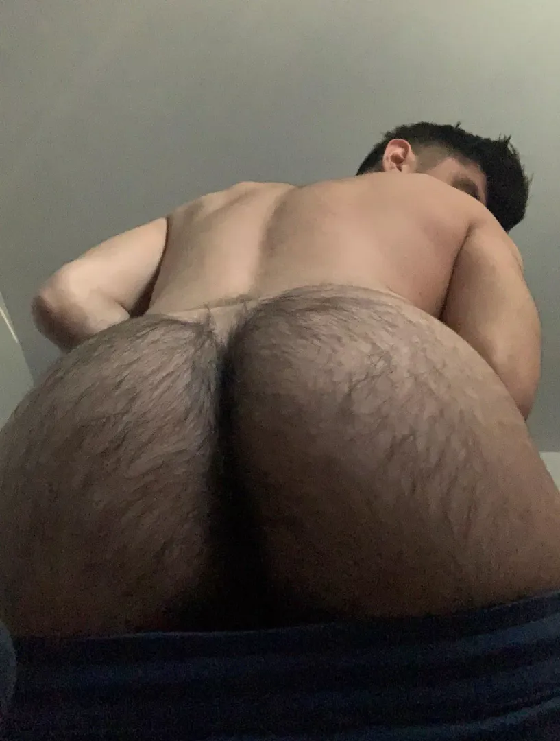 who’s hungry for hairy latino ass?