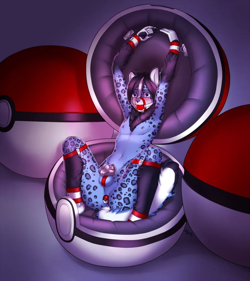 Who's that pokemon?! :3 (Arh)