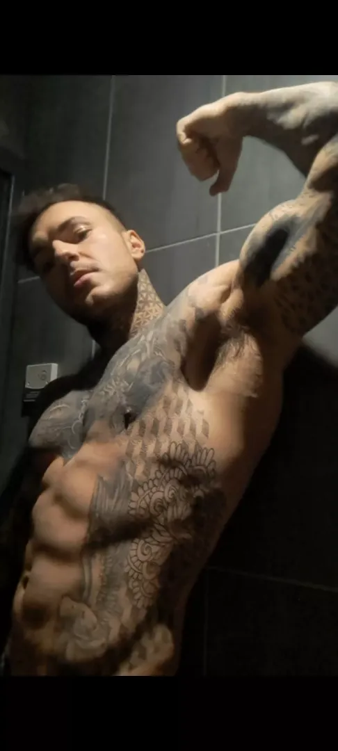 Who's your alpha?
