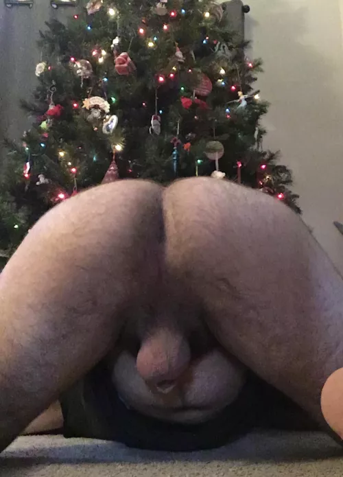 Why don’t you open this present under the tree