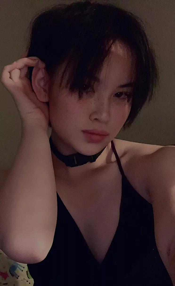 Why hello there