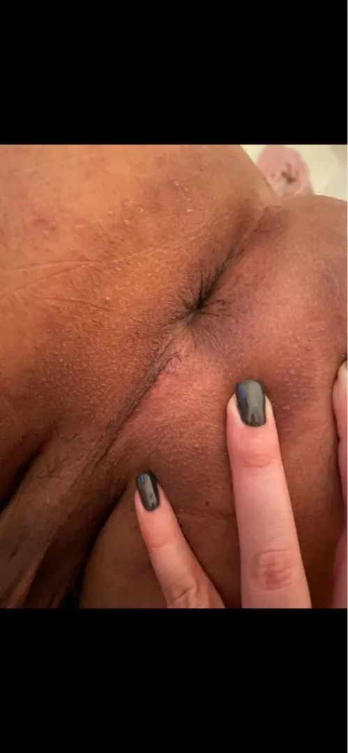 Why is it so hard to find a top to breed me in tampa