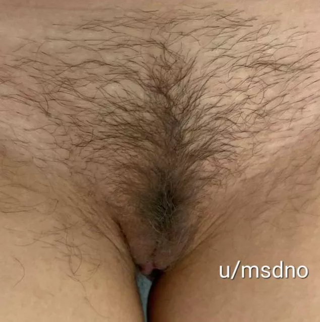 Wife