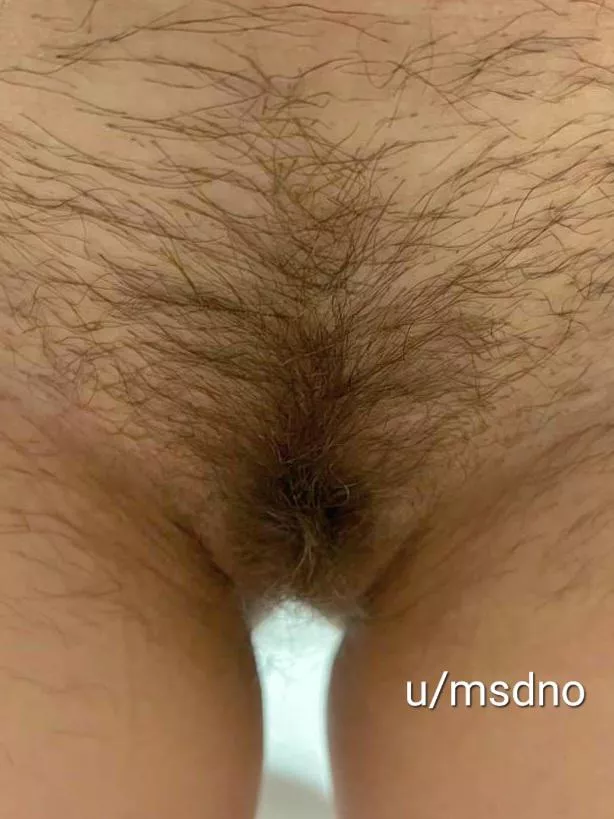 Wife