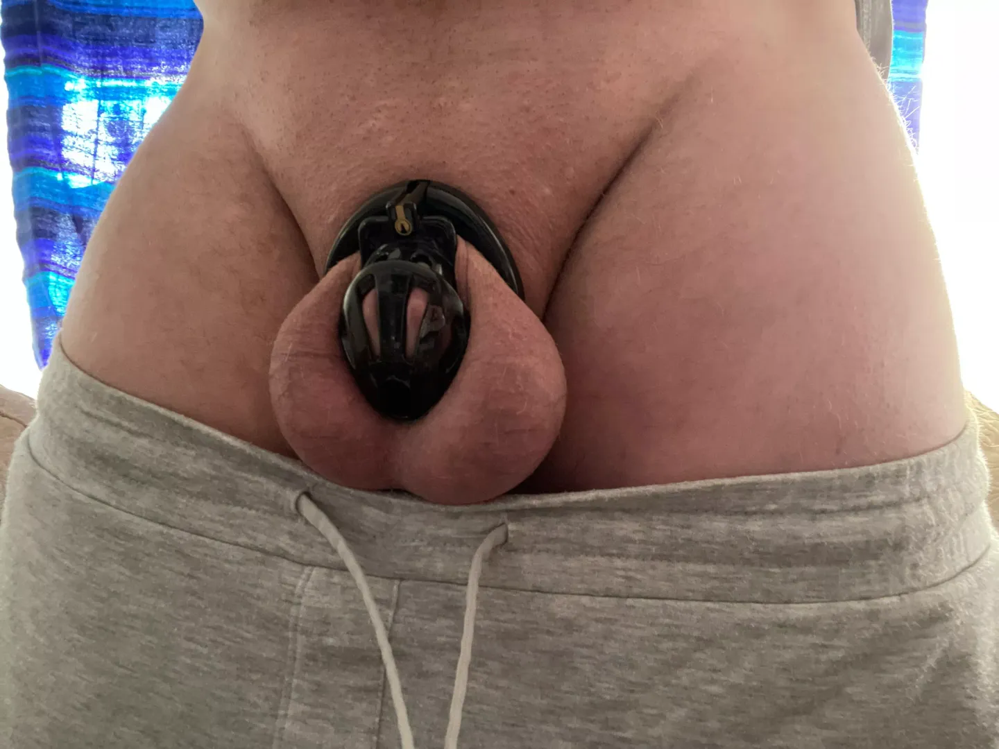Wife shrunk me down a size in my cage. Told me it was getting to comfortable for me in my old one.