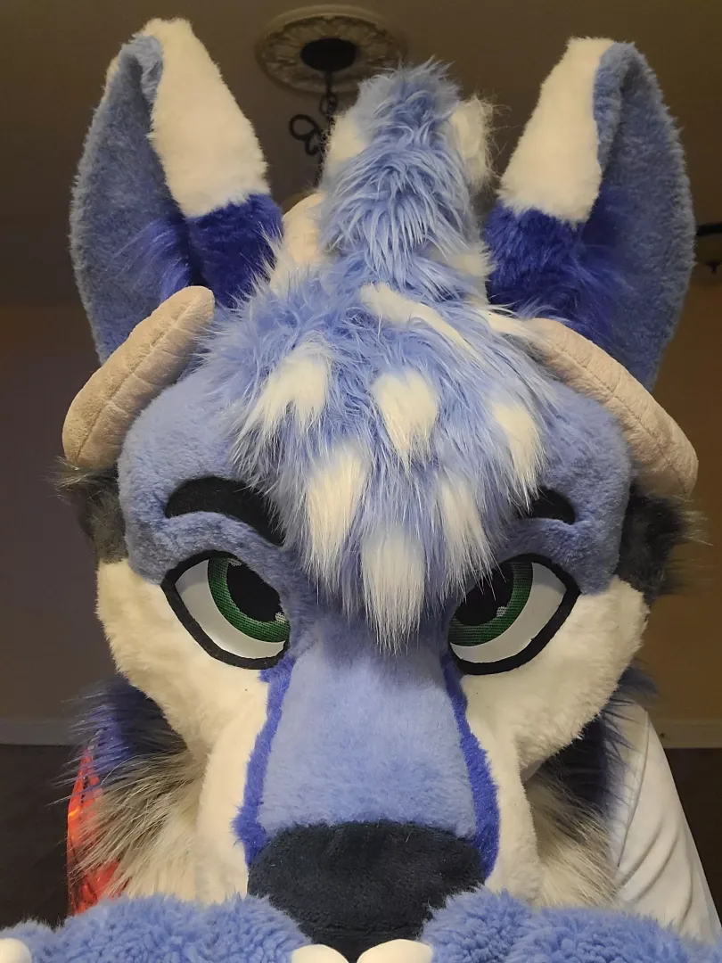 Windchime (My fursona) BAH!.. I can have cheesecake?