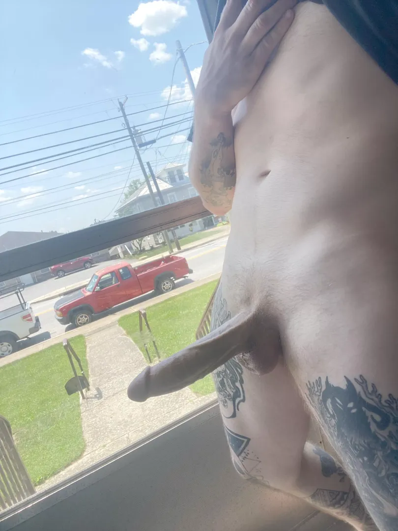 Window gazer