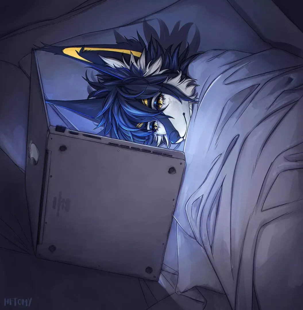 winter night