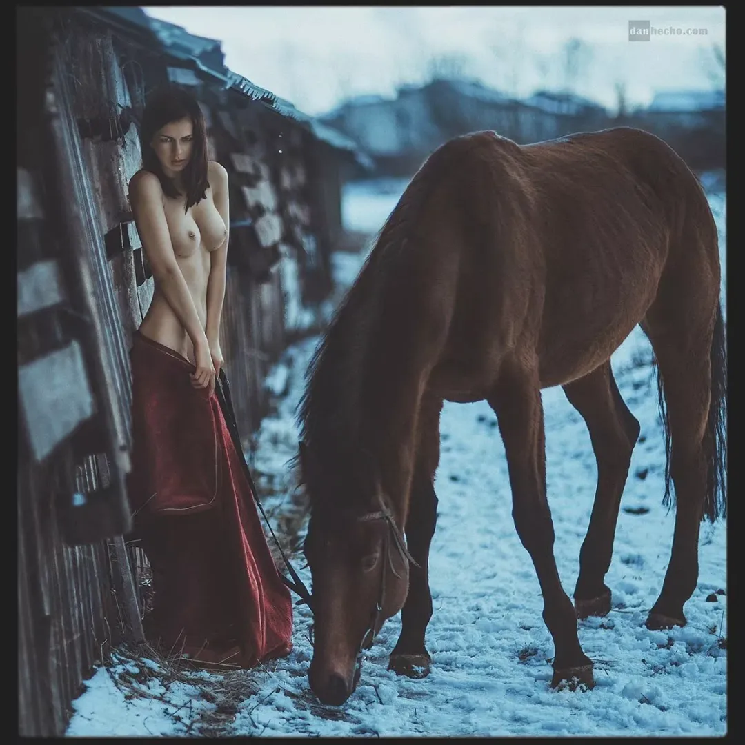 Winter ranch