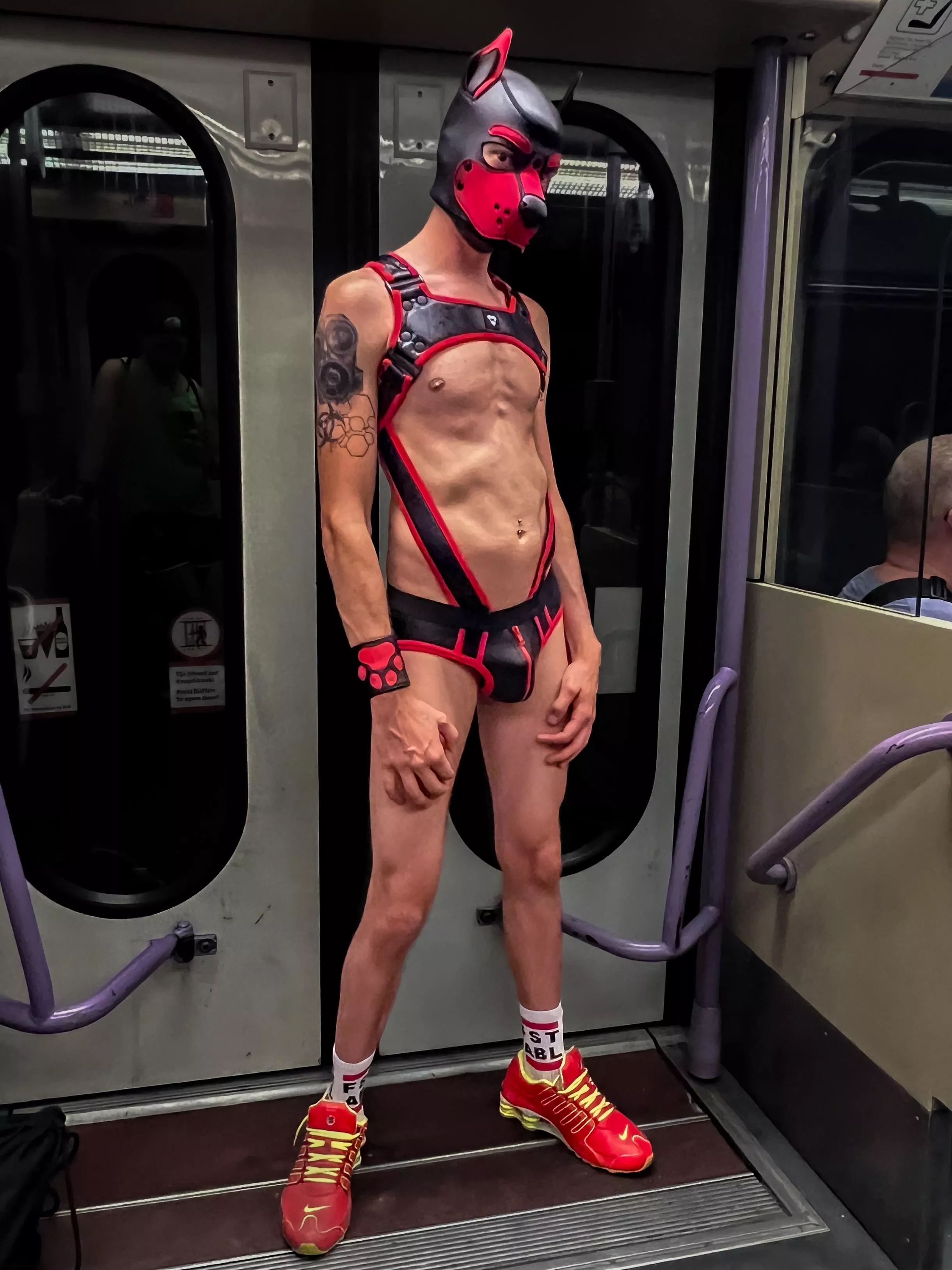 Wish you all a wooftastic day