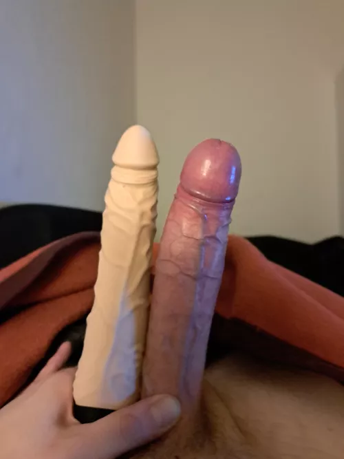 With my standard toy