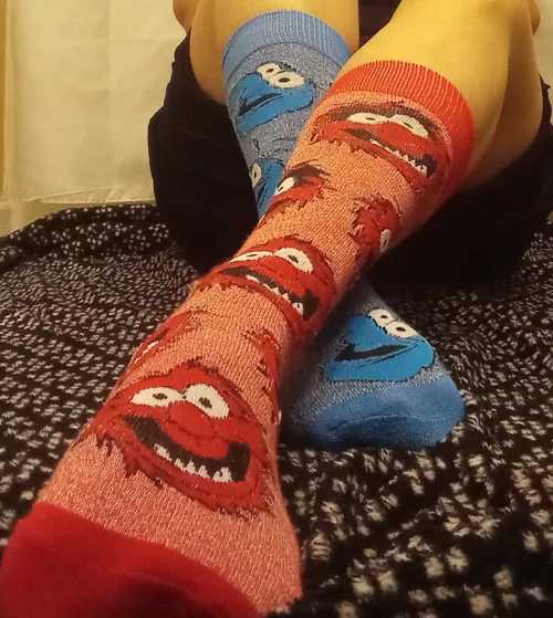 With so many cute socks to choose from, sometimes I just have a hard time deciding which to wear! DM me to choose your own! Daily and weekly rates available, add ons and multiple pairs encouraged! 😘