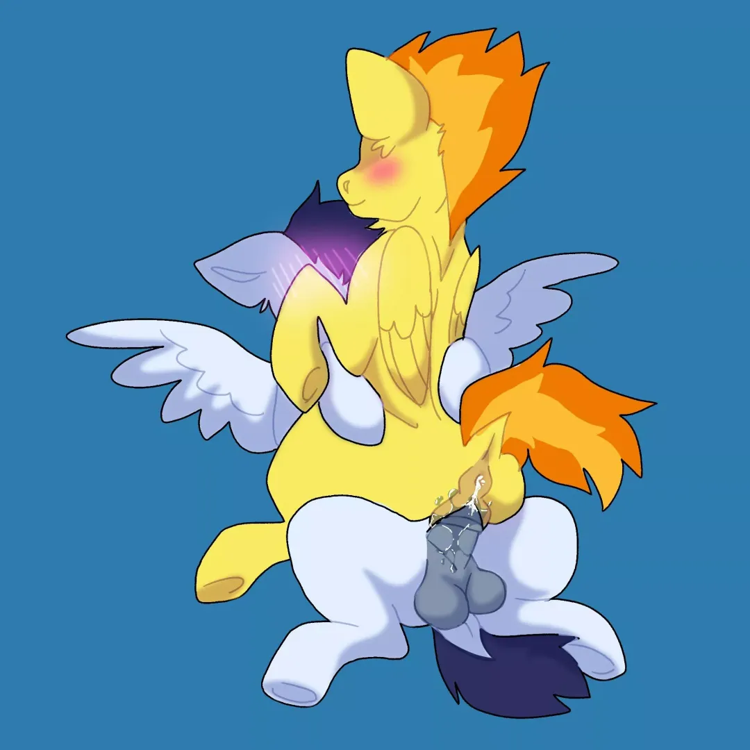 Wonderbolts After Hours (MF)