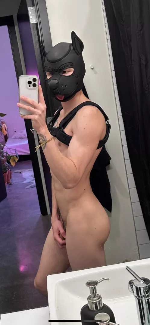 woof 🐾🖤