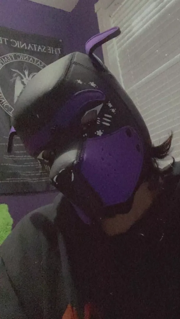 woof! 🫧🐶