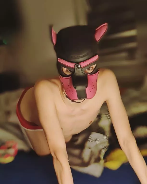 Woof 💋