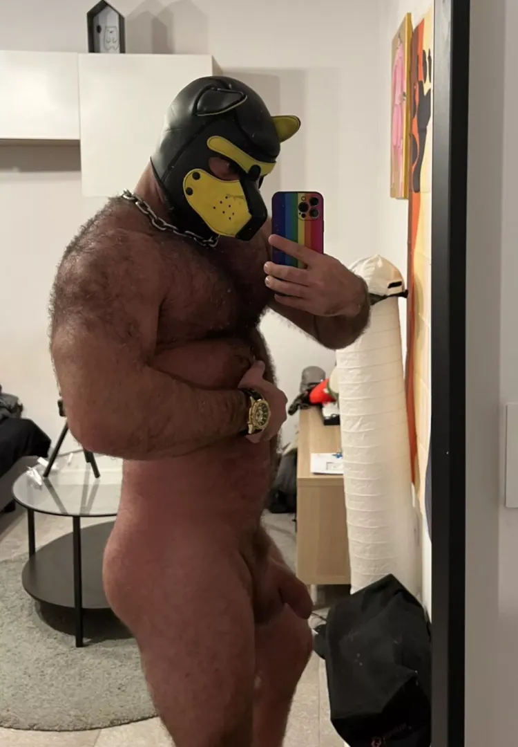 Woof 🤩 Tyler Rex