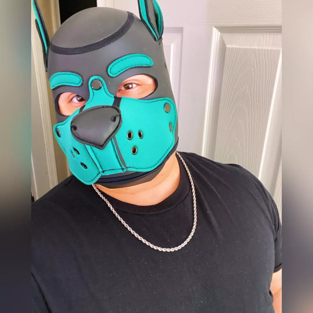 Woof woof