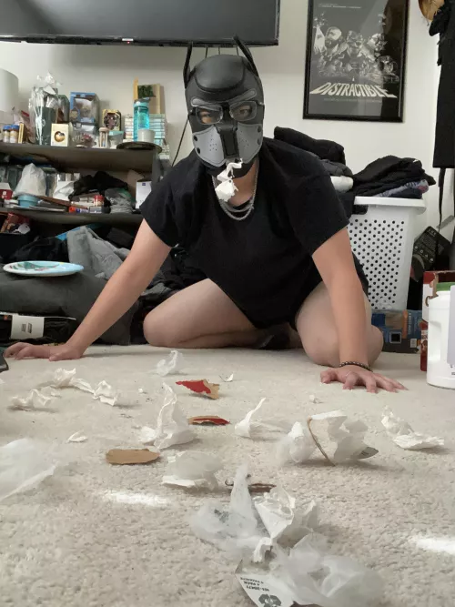 Woof…I didn’t do it-