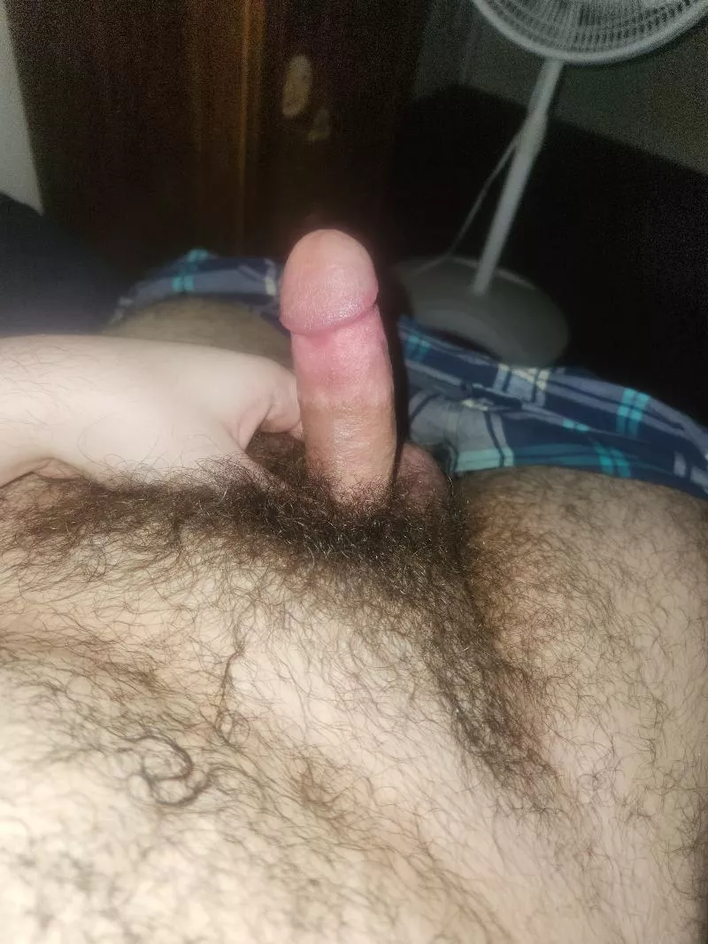 Wooof, a little help before bed?