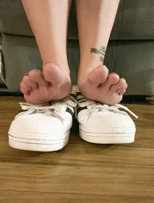 Wore these barefoot all day at 6 flags yesterday! Would you suck my toes? Sniff my shoes? 🫣
