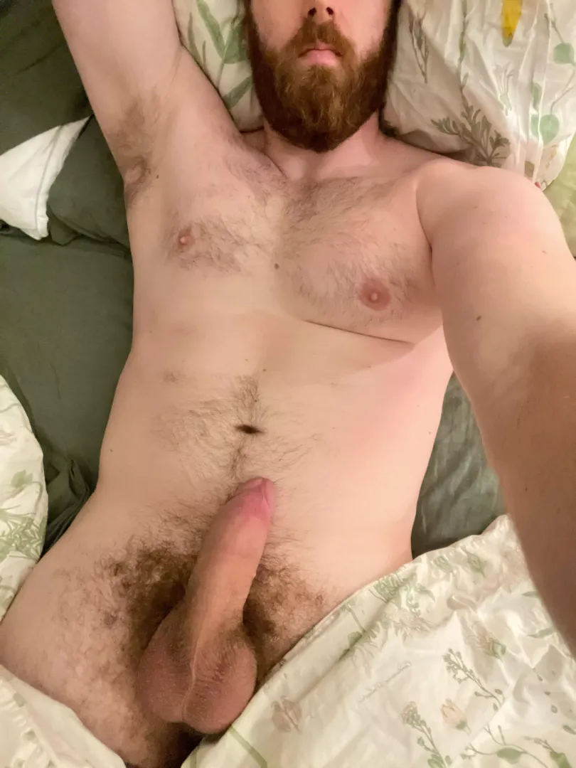 Working from home and so horny thinking about pleasing others with my thick cock, thick beard, or fat ass. Which do you want?