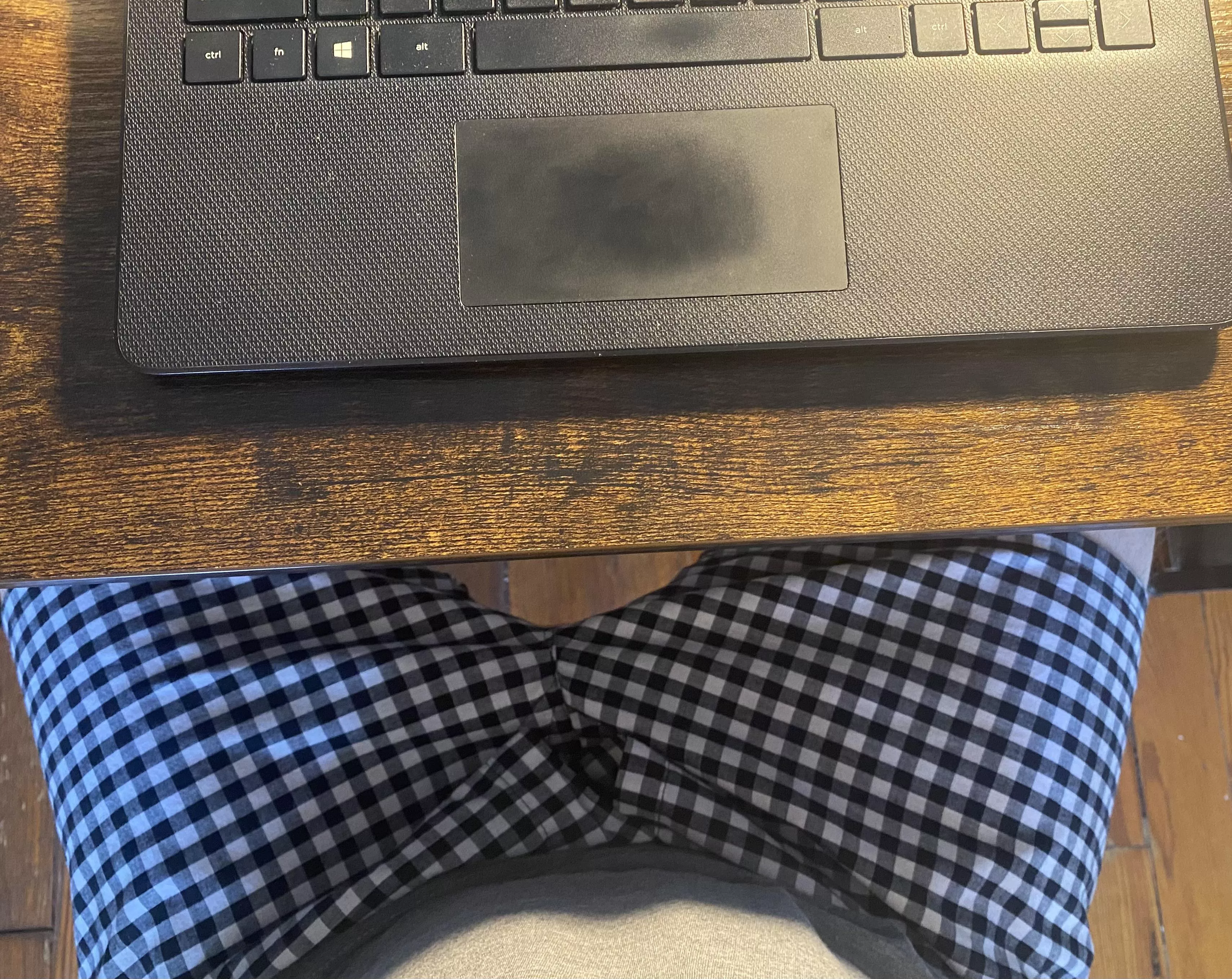 Working from home isn’t too bad