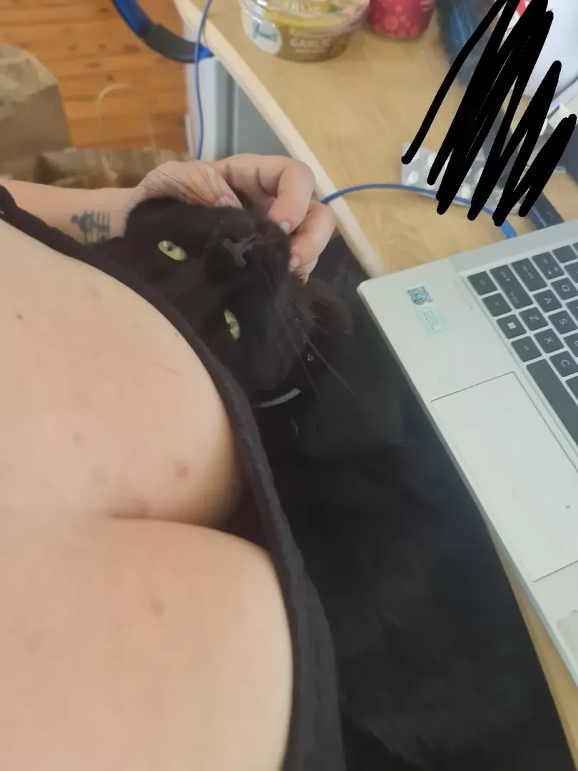 Working POV