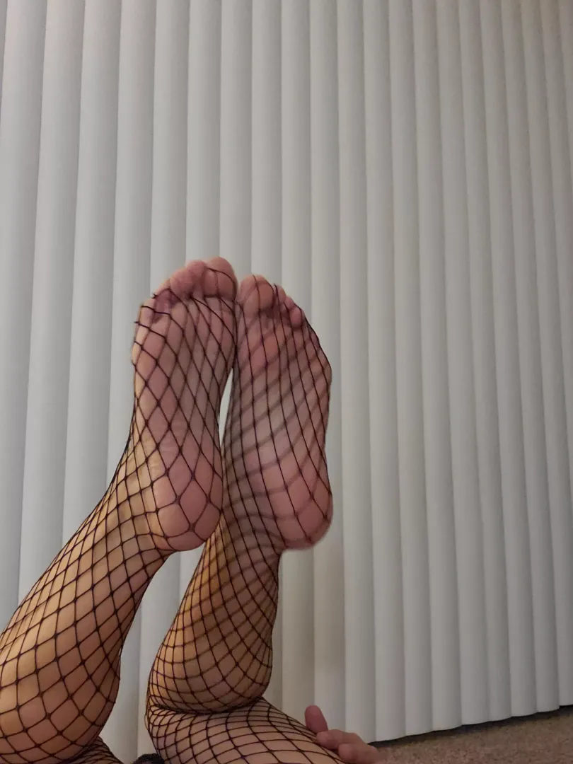 worship my cute little feet ? 😍