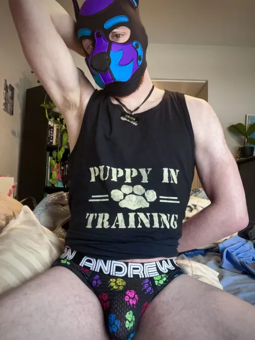 Would you be my trainer?