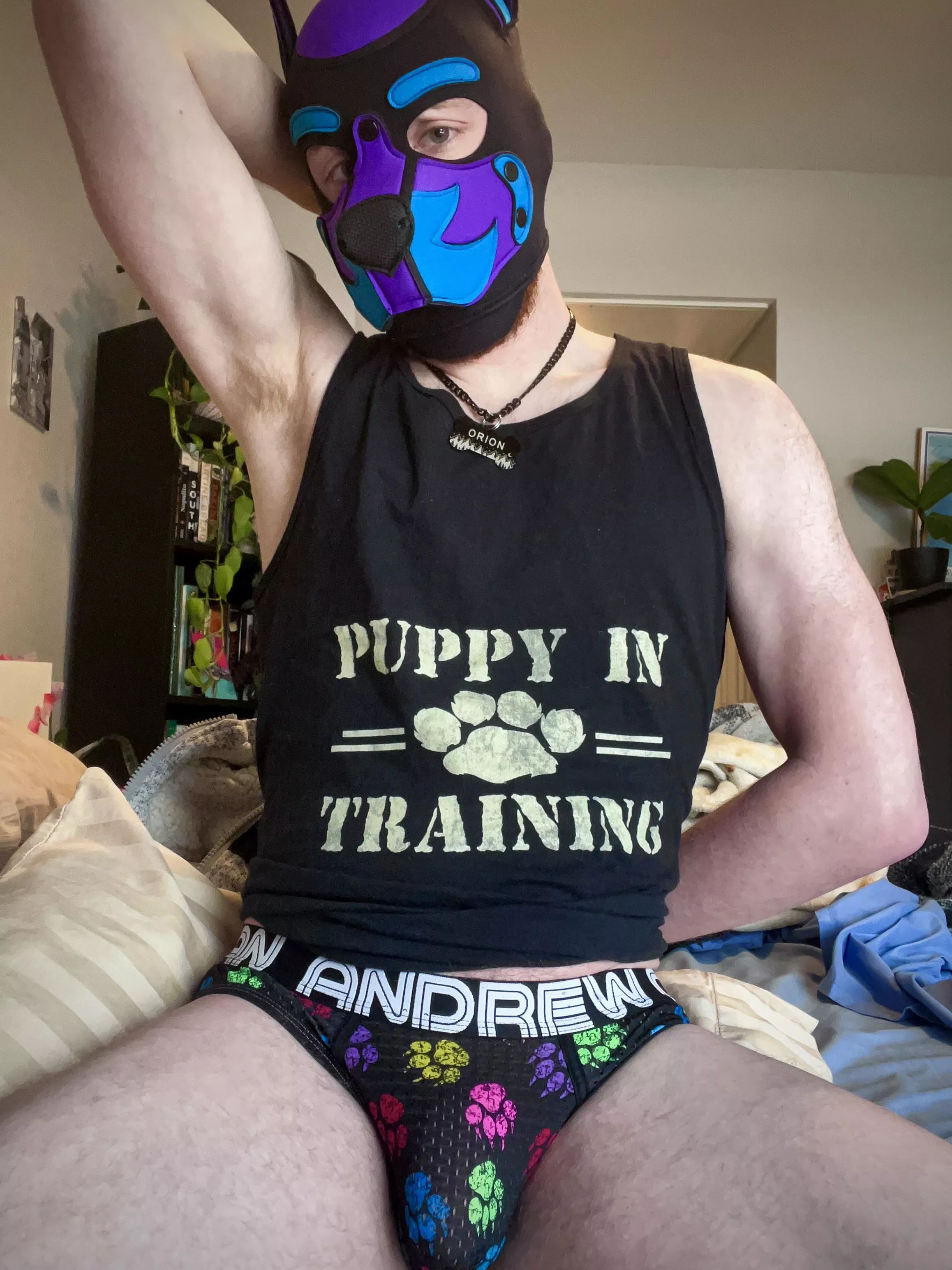 Would you be my trainer?