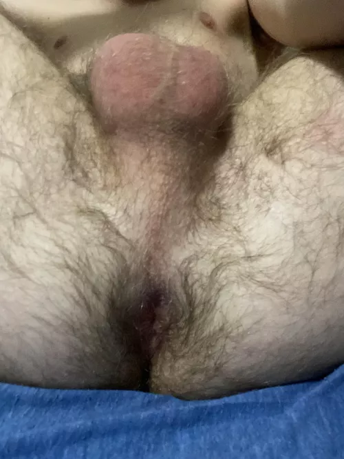 Would you breed me?