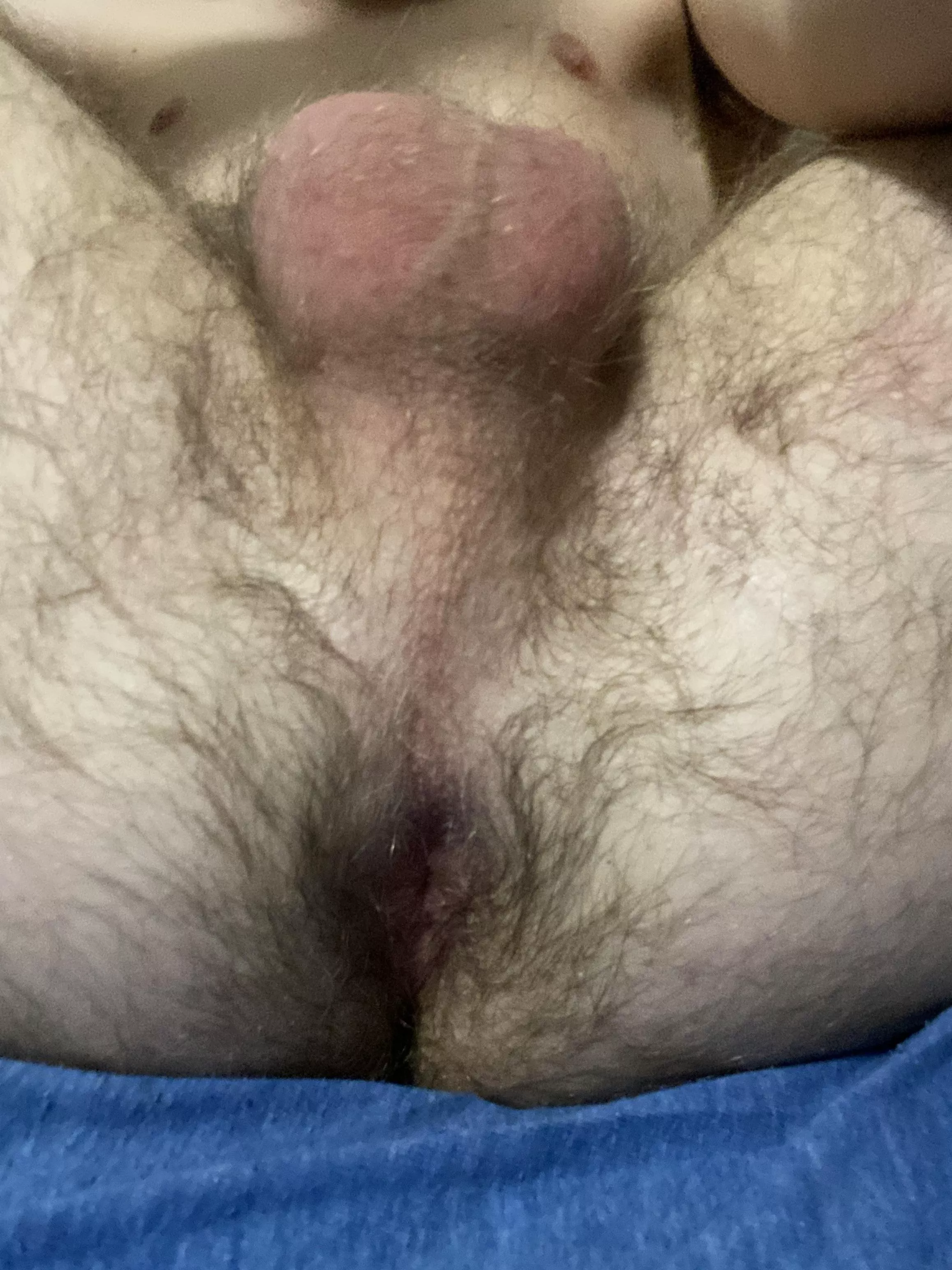 Would you breed me?