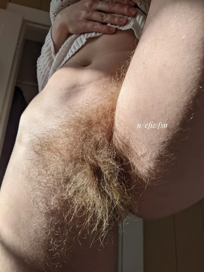 Would you bury your face in here?