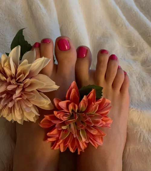 Would you buy me flowers? You might get a pic as reward ;)