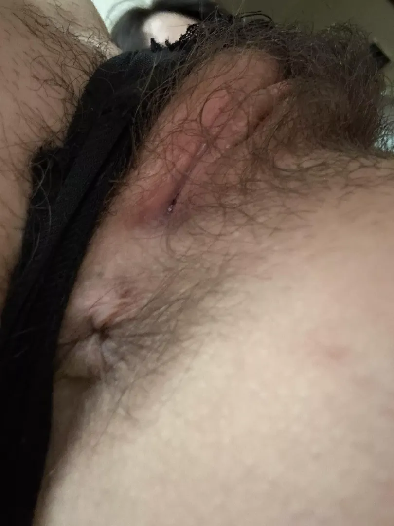 Would you eat my asshole even if very hairy