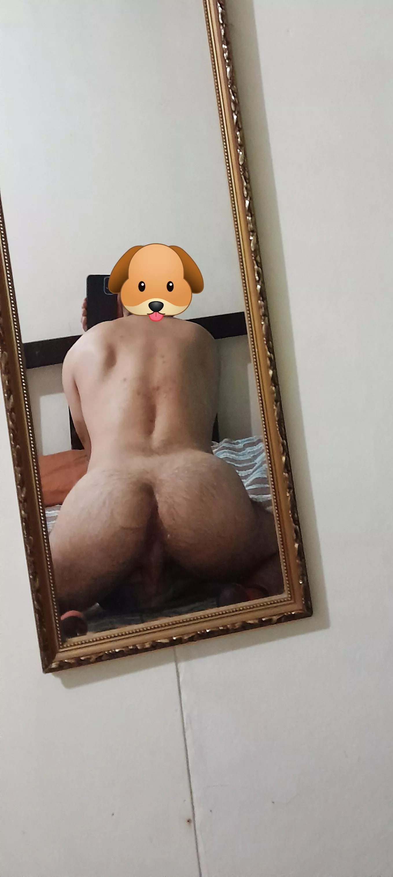 Would you fuck it?
