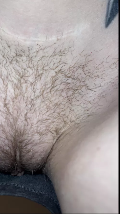 Would you lick me?